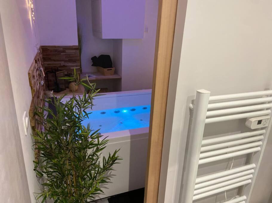 Lover Dose Spa Vierzon Exteriör bild