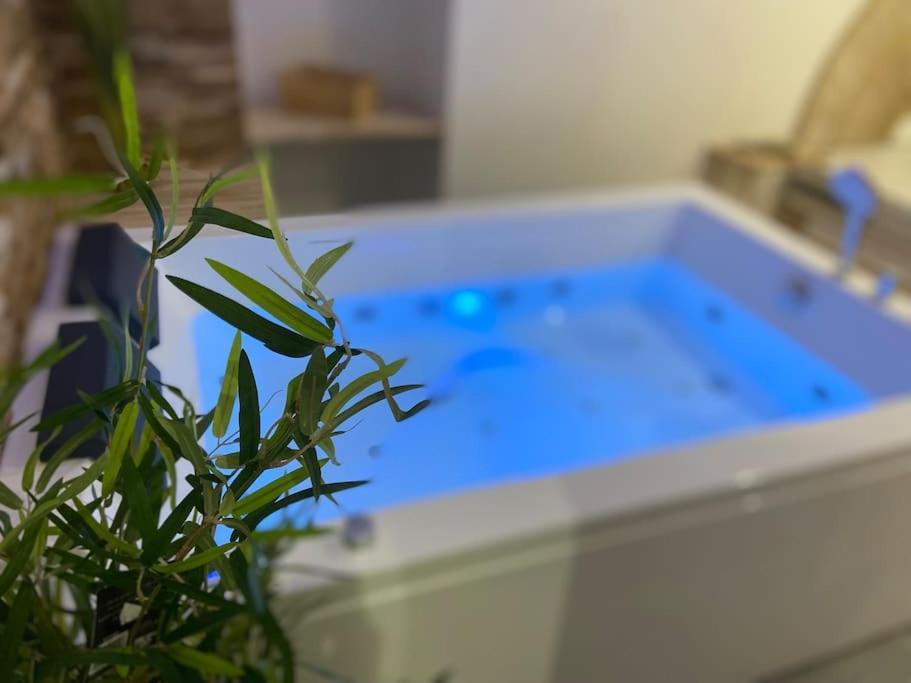 Lover Dose Spa Vierzon Exteriör bild